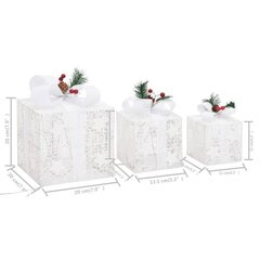 Ziemassvētku rotājumu dāvanu kastes, sudrabs cena un informācija | Ziemassvētku dekorācijas | 220.lv