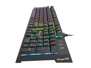 GENESIS THOR 210 RGB Gaming Keyboard, US цена и информация | Клавиатуры | 220.lv