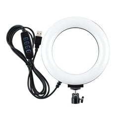 Кольцевая светодиодная лампа, 16 см, USB цена и информация | Осветительное оборудование для фотосъемок | 220.lv
