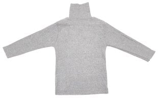 Džemperis ar garu kaklu cena un informācija | Zēnu jakas, džemperi, žaketes, vestes | 220.lv