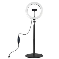 LED gredzena formas lampa 26cm, ar statīvu 25.5-140.7cm, USB cena un informācija | Apgaismojums fotografēšanai | 220.lv