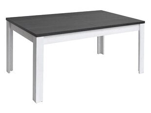 Раскладной стол BRW Hesen 160, светло-серый/серый цена и информация | Кухонные и обеденные столы | 220.lv