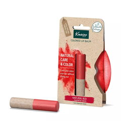 Бальзам для губ Kneipp Natural Care & Color 3,5 г, Natural Red цена и информация | Помады, бальзамы, блеск для губ | 220.lv