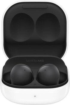 Samsung Galaxy Buds 2 SM-R177NZKAEUD cena un informācija | Austiņas | 220.lv