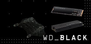 WD WDS400T3X0C                     цена и информация | Внутренние жёсткие диски (HDD, SSD, Hybrid) | 220.lv
