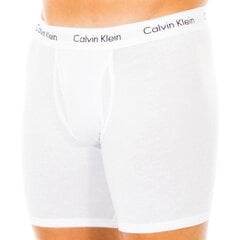 Шорты мужские Calvin Klein цена и информация | L/XL | 220.lv