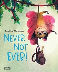 Never, Not Ever! цена и информация | Романы | 220.lv
