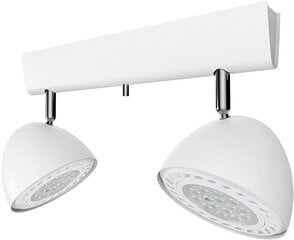 Nowodvorski Lighting griestu gaismeklis Vespa White II 9593 цена и информация | Потолочные светильники | 220.lv