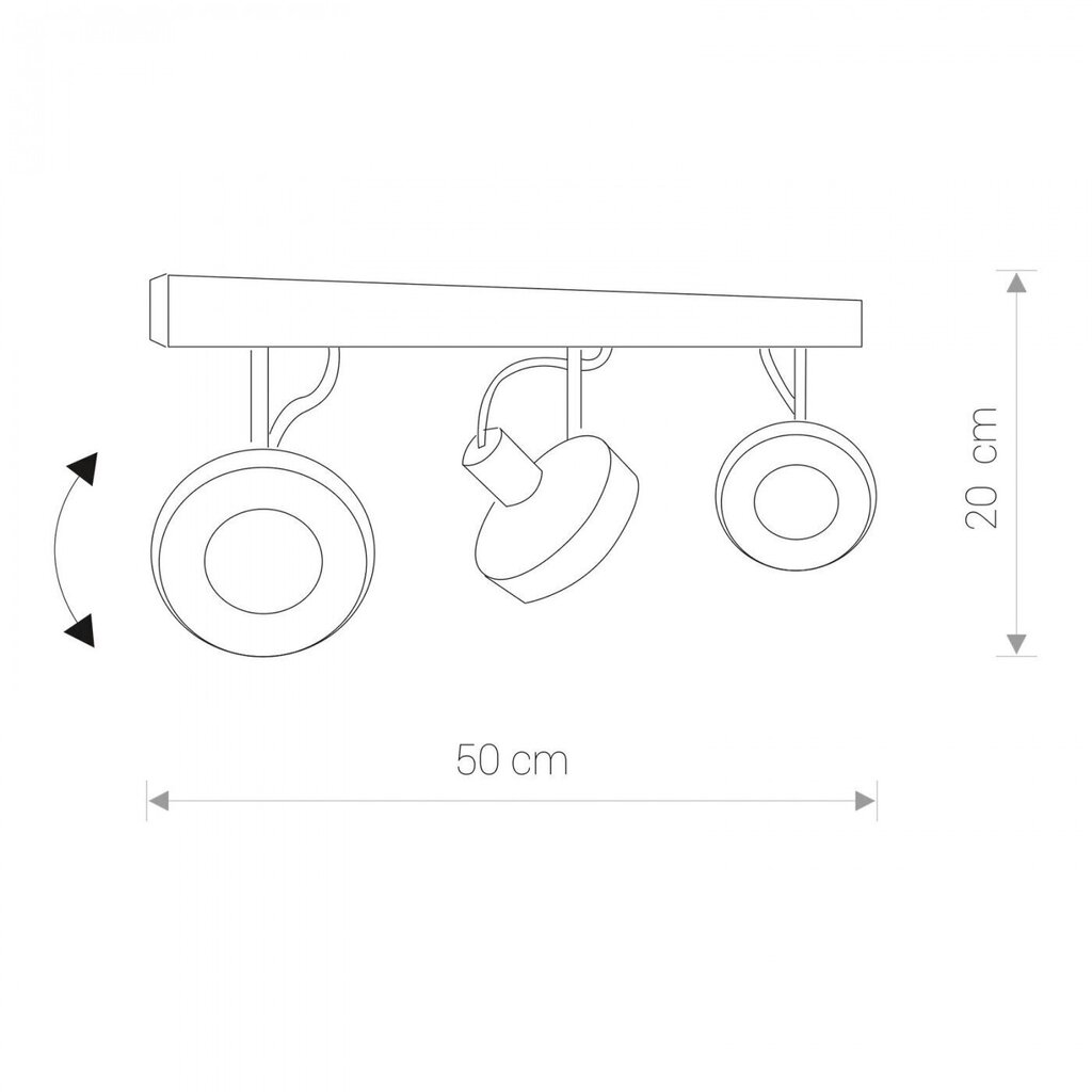 Nowodvorski Lighting griestu gaismeklis Cross Graphite III 9596 цена и информация | Griestu lampas | 220.lv