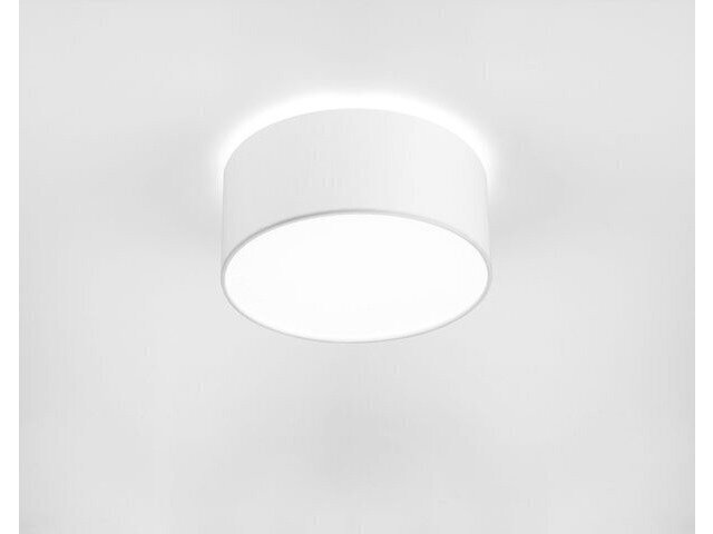 Nowodvorski Lighting griestu gaismeklis Cameron White II 9605 цена и информация | Griestu lampas | 220.lv