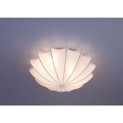 Nowodvorski Lighting griestu gaismeklis Form M 9673 цена и информация | Потолочные светильники | 220.lv