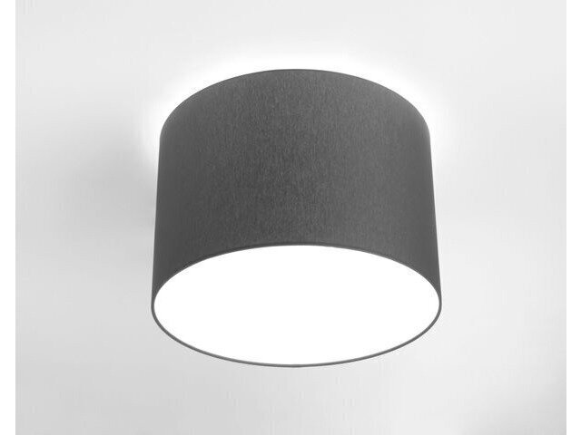 Nowodvorski Lighting griestu gaismeklis Cameron Gray III 9683 цена и информация | Griestu lampas | 220.lv
