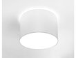 Nowodvorski Lighting griestu gaismeklis Cameron White III 9684 цена и информация | Griestu lampas | 220.lv