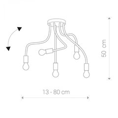 Nowodvorski Lighting griestu gaismeklis Flex Black V 9766 цена и информация | Потолочные светильники | 220.lv