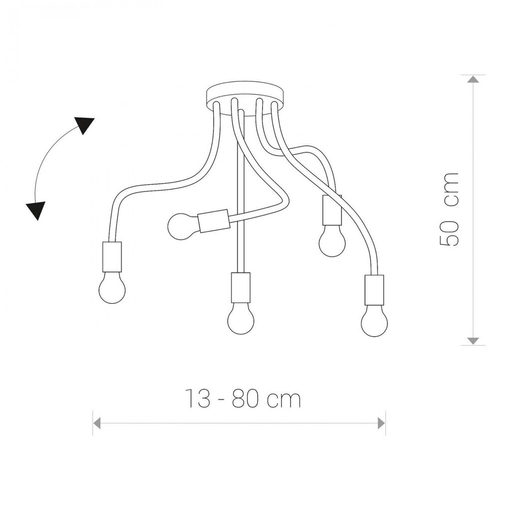 Nowodvorski Lighting griestu gaismeklis Flex Black V 9766 цена и информация | Griestu lampas | 220.lv