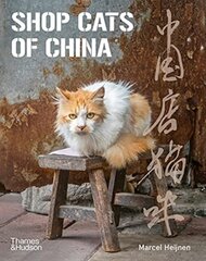 Shop Cats of China cena un informācija | Enciklopēdijas, uzziņu literatūra | 220.lv