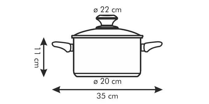 Tescoma Presto katls ar vāku, 22 cm, 4 l цена и информация | Katli, tvaika katli | 220.lv