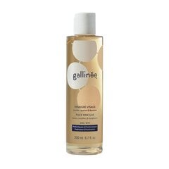 GALLINÉE Prebiotic Pleť AC toner Face vinegar cena un informācija | Sejas ādas kopšana | 220.lv