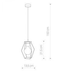 Nowodvorski Lighting piekaramā lampa Fiord 9670 cena un informācija | Piekaramās lampas | 220.lv