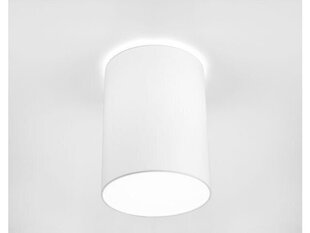 Nowodvorski Lighting потолочная люстра Cameron White I 9685 цена и информация | Потолочные светильники | 220.lv