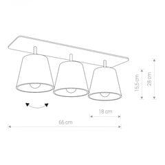 Nowodvorski потолочный светильник Awinion III 9717 цена и информация | Потолочные светильники | 220.lv