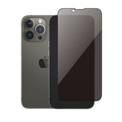 Ekrāna aizsargstikls paredzēts iPhone 13 Pro Max PRIVACY full screen cover cena un informācija | Ekrāna aizsargstikli | 220.lv