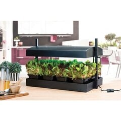 "Grow Light Garden" stādaudzētava 24W Melna cena un informācija | Podi stādiem un pārstādīšanai | 220.lv