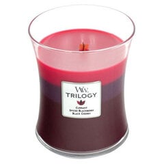 WoodWick ароматическая свеча Trilogy Sun-Ripened Berries, 275 г цена и информация | Подсвечники, свечи | 220.lv