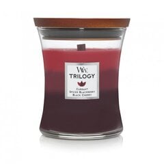 WoodWick ароматическая свеча Trilogy Sun-Ripened Berries, 275 г цена и информация | Подсвечники, свечи | 220.lv