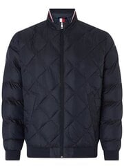 Мужская куртка Tommy Hilfiger 8720112672781, синяя цена и информация | Мужские куртки | 220.lv