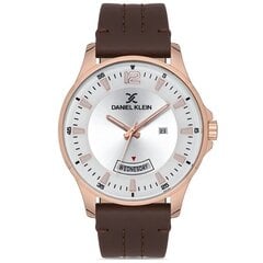 Мужские часы Daniel Klein DK.1.12870-4  цена и информация | Мужские часы | 220.lv