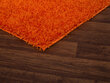 Paklājs Shaggy Orange, oranžs, 80 x 150 cm цена и информация | Paklāji | 220.lv