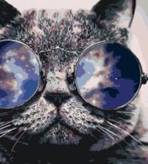 Kартины по номерам "Кот в очках" 40x50 G цена и информация | Живопись по номерам | 220.lv