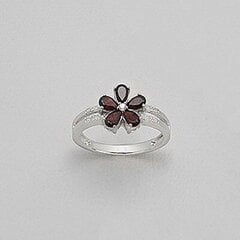 Серебряное (925) кольцо с драгоценными камнями цена и информация | Кольца | 220.lv