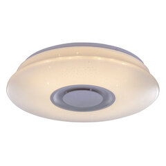 Griestu lampa Globo Lighting TUNE G41341-12 цена и информация | Потолочные светильники | 220.lv