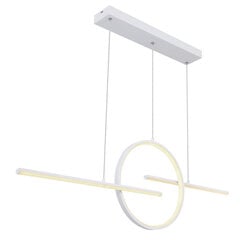 Потолочный светильник Globo Lighting Barral G67121-50W цена и информация | Настенный/подвесной светильник Eye Spot 11 BL, чёрный | 220.lv