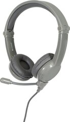 BuddyPhones BP-GALAXY Grey цена и информация | Наушники | 220.lv