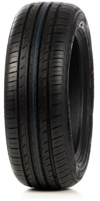 Roadhog RGS01 205/55R16 91 V cena un informācija | Vasaras riepas | 220.lv