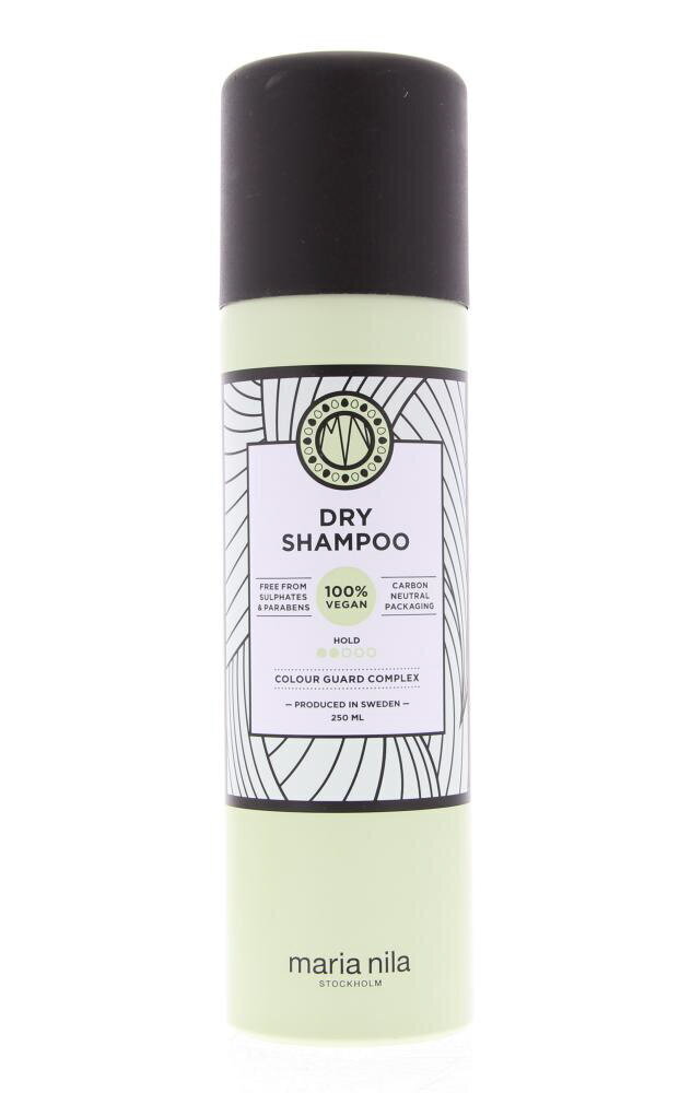 Sausais matu šampūns Style & Finish, 250 ml cena un informācija | Šampūni | 220.lv