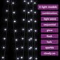 vidaXL LED lampiņu virtene, 3x3m, 300 aukti baltas LED lampiņas cena un informācija | Ziemassvētku lampiņas, LED virtenes | 220.lv