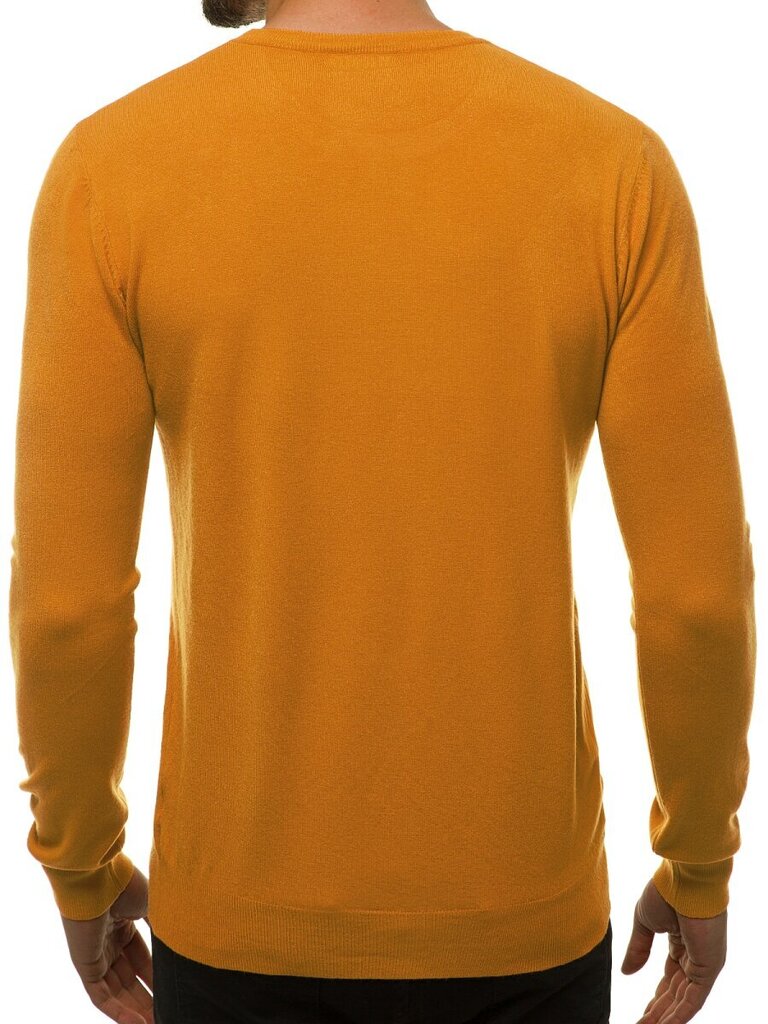Vīriešu Gaiši brūnas krāsas džemperis "Entoni" цена и информация | Vīriešu džemperi | 220.lv