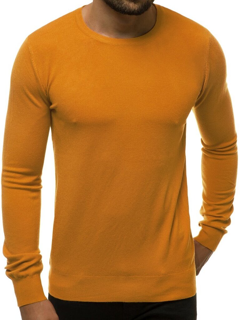 Vīriešu Gaiši brūnas krāsas džemperis "Entoni" цена и информация | Vīriešu džemperi | 220.lv