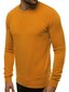 Vīriešu Gaiši brūnas krāsas džemperis "Entoni" cena un informācija | Vīriešu džemperi | 220.lv