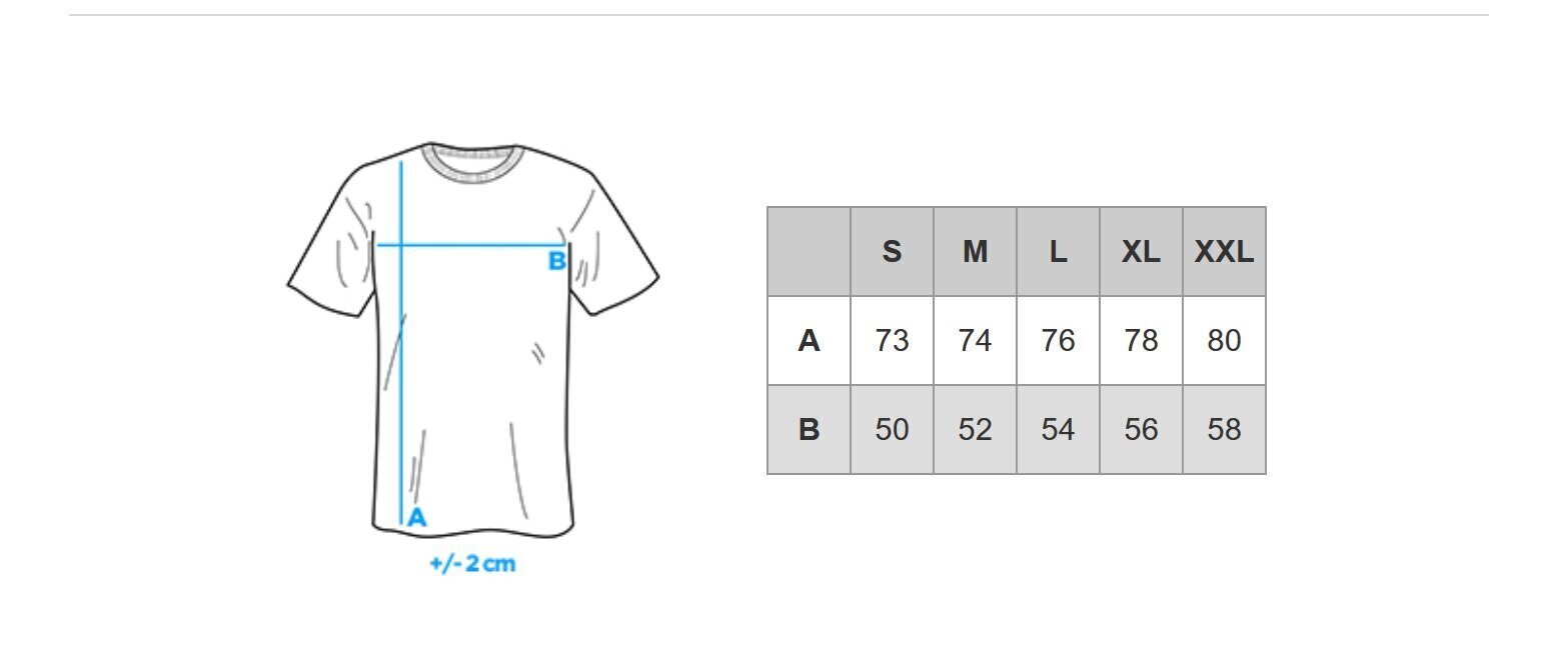 Vīriešu T-krekls ar apdruku Ombre S1434 balts Empire цена и информация | Vīriešu T-krekli | 220.lv