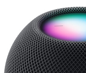 Apple HomePod Mini Space Grey, серый цена и информация | Мультимедийные проигрыватели | 220.lv