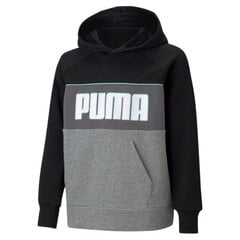 Puma Džemperi Alpha Hoody TR Grey Black cena un informācija | Zēnu jakas, džemperi, žaketes, vestes | 220.lv