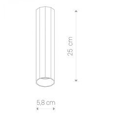 Nowodvorski Lighting потолочный светильник Poly M Black 8878 цена и информация | Потолочные светильники | 220.lv