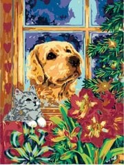 Kартины по номерам "Собака и кошка" 30x40 G цена и информация | Живопись по номерам | 220.lv