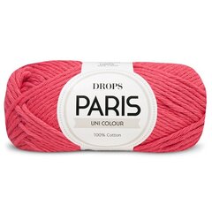 Пряжа DROPS® PARIS  38, 50 g, 75 m. цена и информация | Принадлежности для вязания | 220.lv