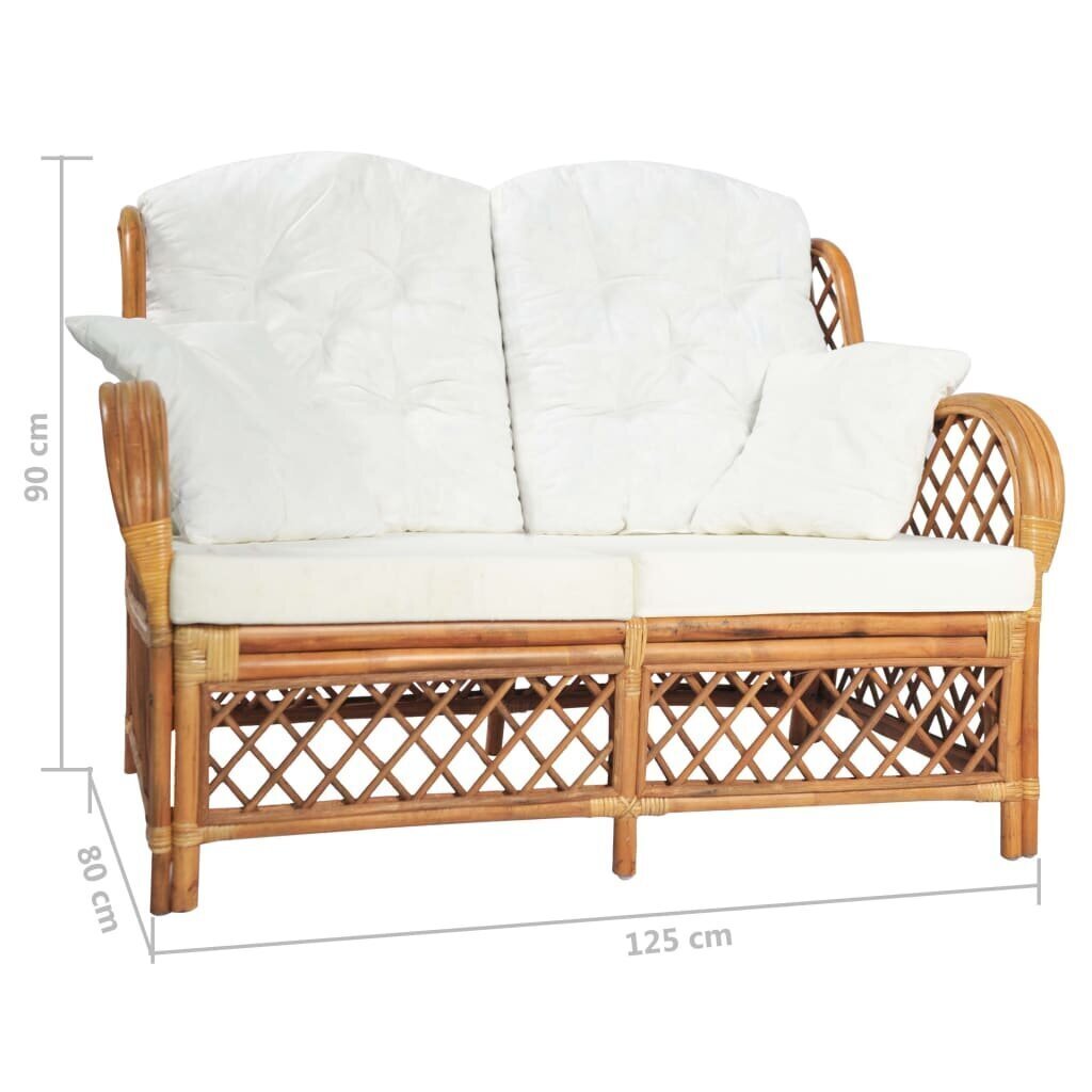 vidaXL divvietīgs dīvāns, gaiši brūna rotangpalma cena un informācija | Dārza krēsli | 220.lv